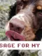 Message for My Dog
