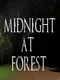 Midnight at Forest