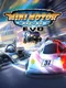 Mini Motor Racing EVO