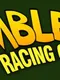Mister Bumblebee Racing Champion