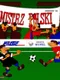Mistrz Polski '96