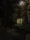 Modern Zombie
