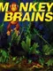 Monkey Brains
