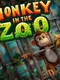 Monkey in the Zoo