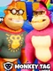 Monkey Tag Arena