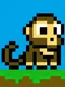 Monkey Time