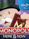 Monopoly Here & Now