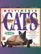 Multimedia Cats