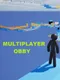Multiplayer Obby