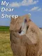 My Dear Sheep
