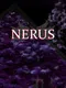 Nerus