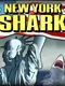 New York Shark