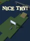 Nice Try!