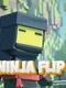 Ninja Flip