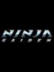 Ninja Gaiden 3DS