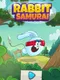 Ninja Rabbit