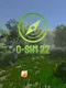 O-Sim 22