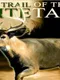 On the Trail of the Whitetail