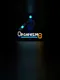 Organism 8