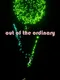 Out of the Ordinary
