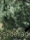 Outside Agent