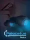 Pakicetus Redux