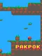Pakpok