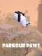 Parkour Paws