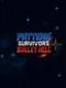 Pattern Survivors: Bullet Hell