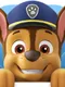 Paw Patrol Academy
