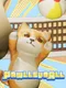 PawlleyBall
