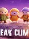 Peak Climb