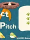 Perfect Bird Pitch