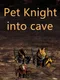 Pet Knight into cave