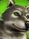 PetWorld - WildLife America