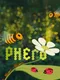 Phero