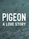 Pigeon: A Love Story