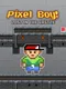 Pixel Boy: Lost in the Castle