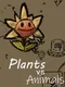 Plants vs Animals