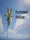 Platformer Paradise