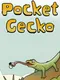 Pocket Gecko