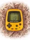 Pokémon Pikachu