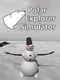 Polar Explorer Simulator