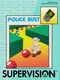 Police Bust