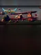 Polywings