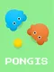 Pongis