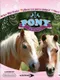 Pony Friends: Mini Breeds Edition