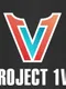Project 1v1