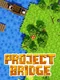 Project Bridge