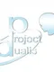 Project Dualis
